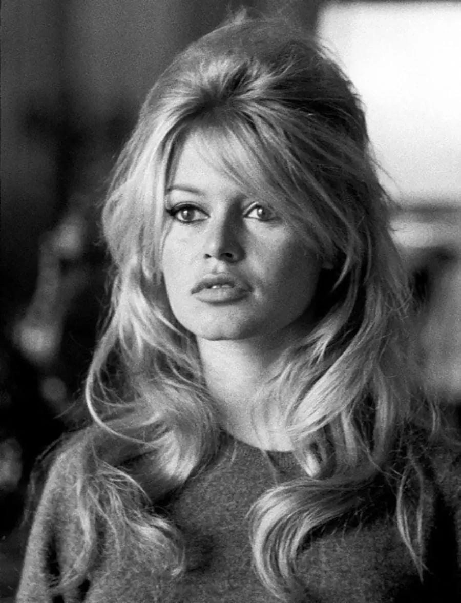 Brigitte Bardot - Extensii Păr